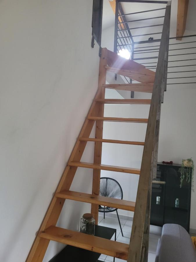 Appartement Avec Exterieur Aigues-Mortes Zewnętrze zdjęcie